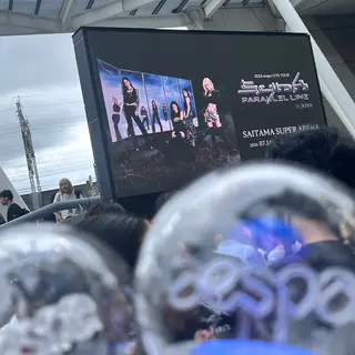 ハイトーン/レイヤー /艶カラー🎀のヘアスタイル