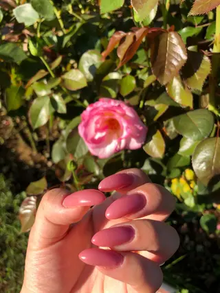 ネイル nanamin nail所属・眉サロン KE. 船橋日大前駅徒歩1分の眉毛・アイブロウイメージ