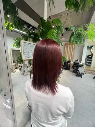 カラー 晶／艶髪カラー ／トリートメントのヘアスタイル