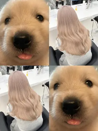 カラー ハイトーン/透明感 艶カラー/SAKI‎のヘアスタイル