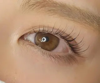 マツエク・マツパ 《eyelash ｉｉｔｅ》森のマツエク・マツパデザイン