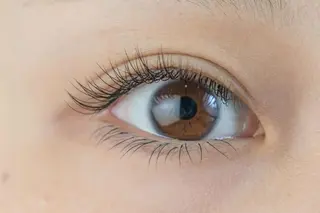 マツエク・マツパ アイサロン フェア 海老名店のマツエク・マツパデザイン