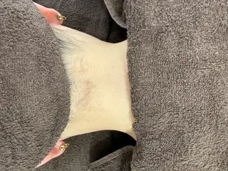 salonvilla所属・villa ☺︎草山 楓花のエステ・リラクイメージ