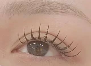 マツエク・マツパ アイブロウ 浦添 Le’a【レア】のマツエク・マツパデザイン