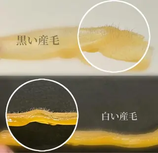 カンナムビューティー麻布十番店所属・bizz bizz 麻布十番🌿のその他イメージ