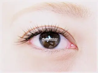 マツエク・マツパ まつげ&眉の専門店 アントススタッフの眉毛・アイブロウイメージ