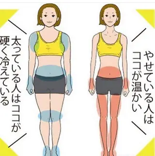 ショート カラー パーマ ヘアアレンジ メンズ キッズ ネイル マツエク・マツパ ‍痩身＆ボディ 結果出し🌟丹野のエステ・リラクイメージ