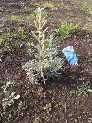 fairytale アロマ&ヘアサロンのヘアスタイル