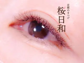 マツエク・マツパ 京都のまつげ桜日和 小島美桜のマツエク・マツパデザイン
