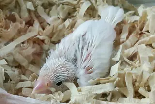 g*rossa高橋 くみこのエステ・リラクイメージ