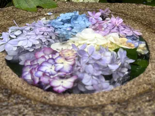 SINCERELY シンシアリー🌈のネイルデザイン