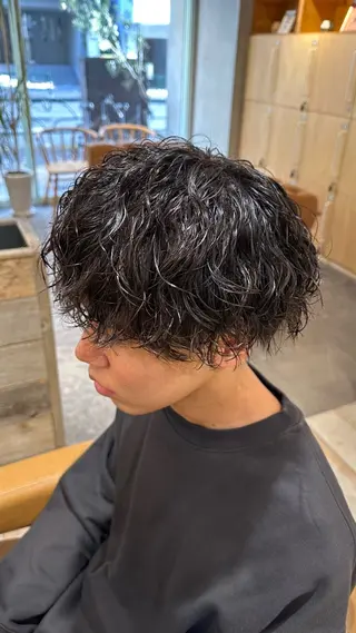 ミディアム パーマ メンズ 艶髪カラー/透明感 美髪/白髪/ﾑﾅｶﾀのヘアスタイル