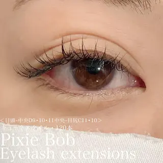 マツエク・マツパ Pixie Bob 🐈‍⬛　位田のマツエク・マツパデザイン