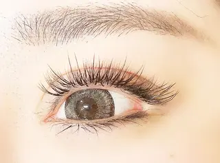 マツエク・マツパ Lanhr所属・【Lanhr】 🕊aya🕊のマツエク・マツパデザイン