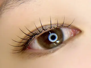 マツエク・マツパ tomte トムテのマツエク・マツパデザイン