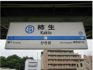 ネイル プライベートサロン N's Nailのネイルデザイン