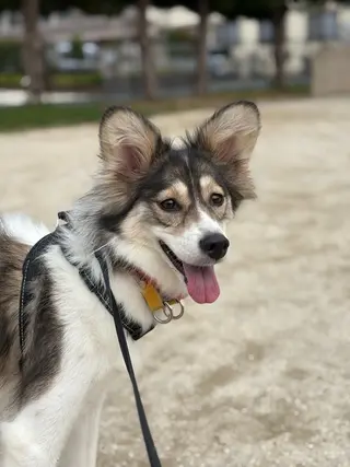 FlyingSeep 🐑kaho💟🌈のネイルデザイン