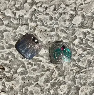 ネイル koko nailのネイルデザイン