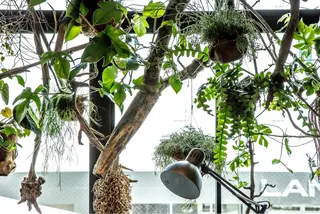 マツエク・マツパ UNPLAN maiのマツエク・マツパデザイン