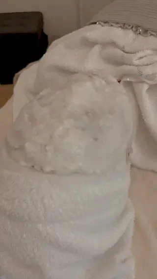 POLA　輝　山科店所属・渡邊 杏奈のエステ・リラクイメージ