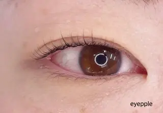 マツエク・マツパ eyepple あやのマツエク・マツパデザイン