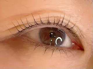 マツエク・マツパ 新柏PALS ｍｉｈｏのマツエク・マツパデザイン