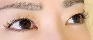 マツエク・マツパ Dolce eye lash ねごろのマツエク・マツパデザイン