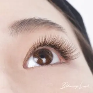 マツエク・マツパ KAFUU所属・KAFUU 辻本のマツエク・マツパデザイン