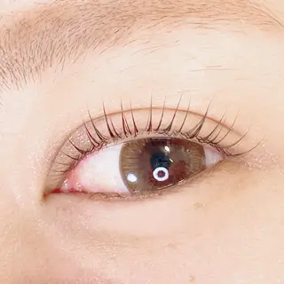 マツエク・マツパ Lotus所属・Lotus ロータスのマツエク・マツパデザイン