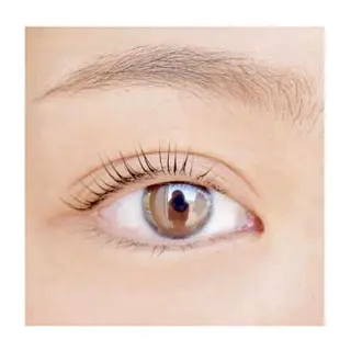 マツエク・マツパ ku-to所属・林 志帆子【en2号店】のマツエク・マツパデザイン