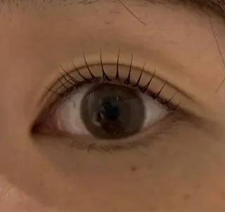 マツエク・マツパ miel_心斎橋 平田のマツエク・マツパデザイン