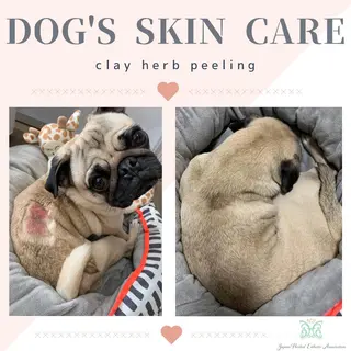 【剥離ありハーブピーリング専門エステ】cerisier BEAUTÉ 原宿所属・cerisier BEAUTÉのエステ・リラクイメージ