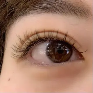 マツエク・マツパ Celeste Venus所属・🧸Celeste Venusのマツエク・マツパデザイン