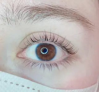 マツエク・マツパ TIARA池袋西口店 店長YASUKA💐のマツエク・マツパデザイン