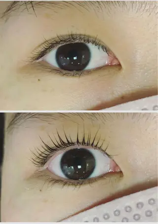 マツエク・マツパ passion茨木 【風張】のマツエク・マツパデザイン