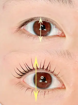 マツエク・マツパ 🌈ALEUM.🌈 アルムのマツエク・マツパデザイン