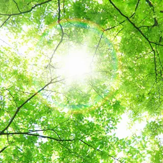 POLA THE BEAUTY尾張旭三郷店所属・POLA 尾張旭 水野のその他イメージ