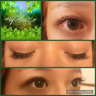 マツエク・マツパ Plants　斧田 ひろみのマツエク・マツパデザイン