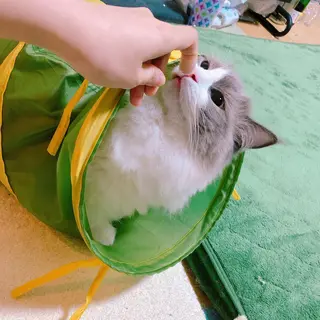 ネイル USAMiMi 🐰💕のネイルデザイン