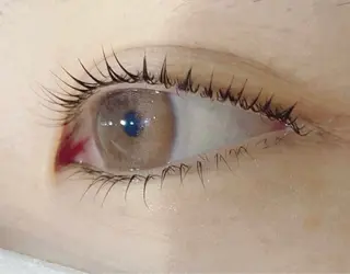 パーマ Heileebrow梅田茶屋町所属・ヘイリーブロウ 梅田茶屋町店の眉毛・アイブロウイメージ