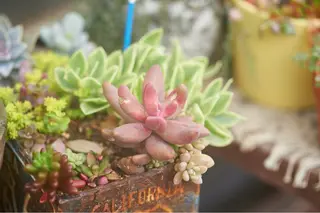 guusca[グースカ]所属・ヘッドスパ指名No. 1🍀IMA🍀のヘアスタイル