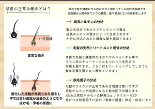 BARBER LIGHT所属・一切ハサミは持たず 髪質改善のみ🌱古川のその他イメージ