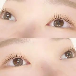 マツエク・マツパ 🌼Alba🌼 犬馬塲のマツエク・マツパデザイン