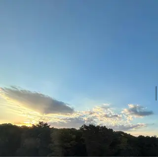 セミロング カラー パーマ ヘアアレンジ キッズ アイブロウ GOTODAY SHAiRE SALON (原宿本店)所属・stylist 🎀 kanaのその他イメージ