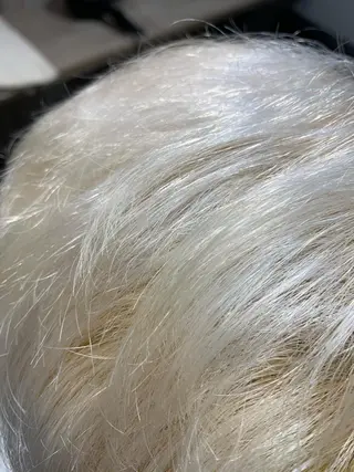 ショート カラー micca下北沢所属・katsuya hiroのヘアスタイル