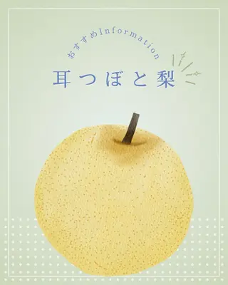 mimine エメラルド式耳つぼのその他イメージ