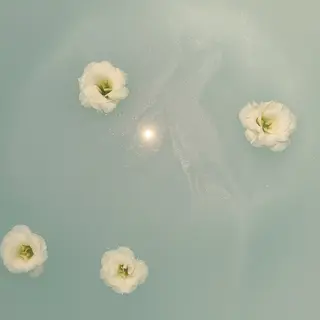 🦋MaaZlash 南流山FUKA🤍のマツエク・マツパデザイン