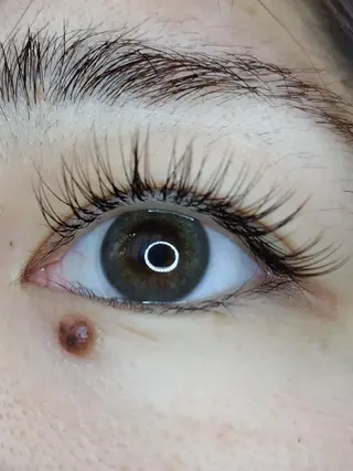 マツエク・マツパ MAXまつ毛&  フェイシャルのマツエク・マツパデザイン