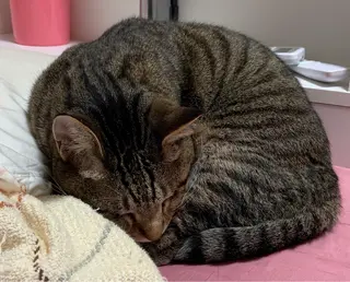 Nagomier  のエステ・リラクイメージ