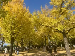 フェイシャルサロン ビアンカガーデンのエステ・リラクイメージ